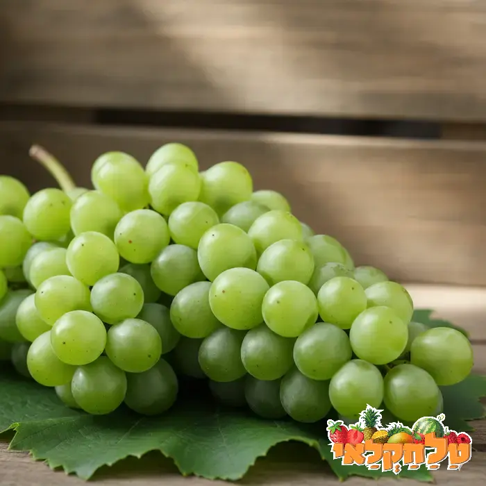 ענבים קריספי ללא גרעין