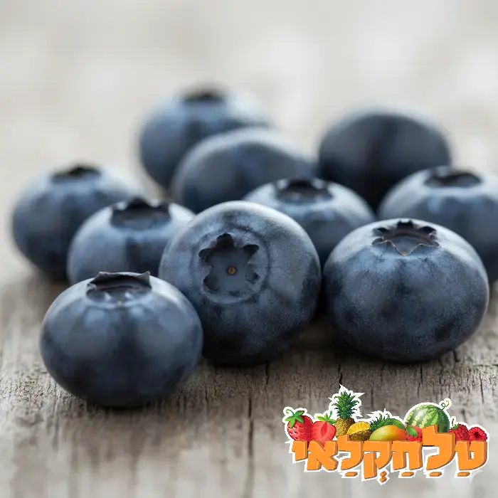 אוכמניות קריספי מארז