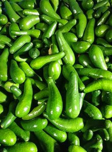 אבוקדו זן גליל