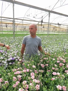 אוהד מלכה חקלאי