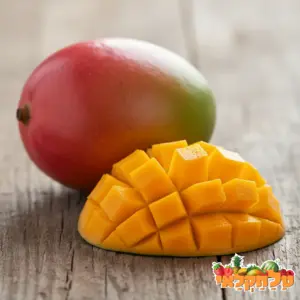 מנגו קנט\עומר\