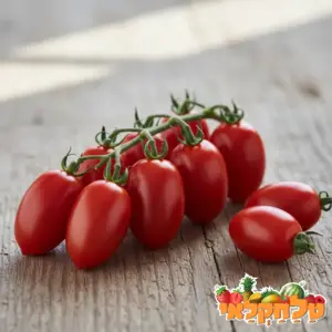 מארז 1.2 קילו