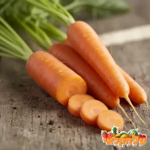 גזר מובחר קילו פלוס