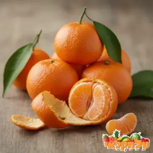 קלמנטינה מיכל\אורי