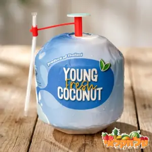 קוקוס אמיתי תאילנד