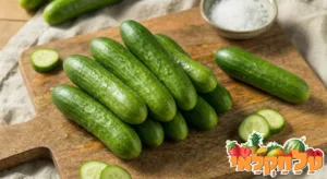 מיני מלפפון